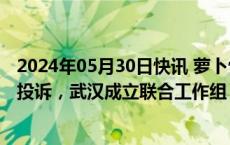 2024年05月30日快讯 萝卜快跑无人驾驶车辆致拥堵遭大量投诉，武汉成立联合工作组