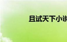 且试天下小说（正太小说）