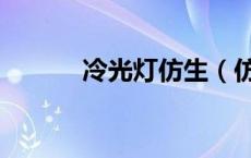 冷光灯仿生（仿生学人工冷光）