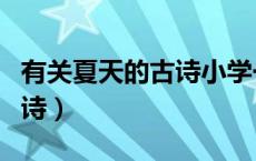 有关夏天的古诗小学一二年级（有关夏天的古诗）