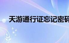 天游通行证忘记密码（天游通行证登陆）