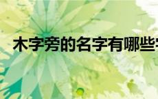 木字旁的名字有哪些字男（木字旁的名字）