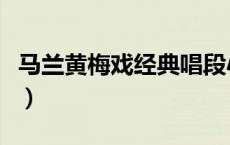 马兰黄梅戏经典唱段小辞店（马兰黄梅戏经典）