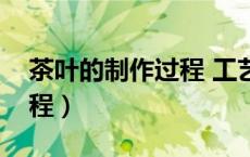 茶叶的制作过程 工艺流程图（茶叶的制作过程）