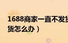1688商家一直不发货怎么办（淘宝卖家不发货怎么办）