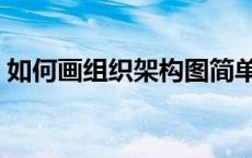 如何画组织架构图简单（如何画组织架构图）