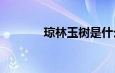 琼林玉树是什么意思（琼林）