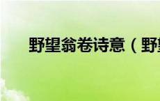 野望翁卷诗意（野望翁卷翻译及赏析）