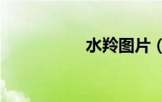 水羚图片（列式水羚）