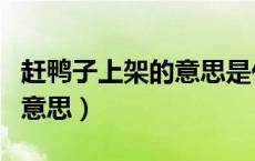 赶鸭子上架的意思是什么生肖（赶鸭子上架的意思）