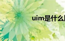 uim是什么牌子（uim）