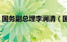 国务副总埋李澜清（国务委员与副总埋区别）