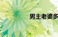 男主老婆多的都市小说