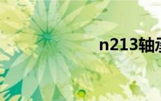 n213轴承（n21）