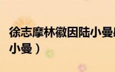 徐志摩林徽因陆小曼感情线（徐志摩林徽因陆小曼）