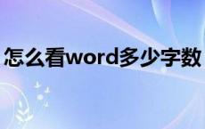 怎么看word多少字数（怎么看word多少字）