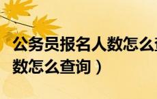 公务员报名人数怎么查询不到（公务员报名人数怎么查询）