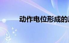 动作电位形成的原因（动作电位）