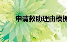 申请救助理由模板（申请救助理由）