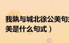 我孰与城北徐公美句式分析（我孰与城北徐公美是什么句式）