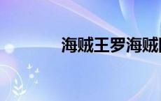 海贼王罗海贼团（海贼王罗）