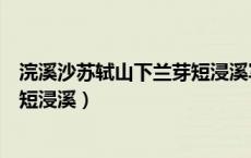 浣溪沙苏轼山下兰芽短浸溪写作背景（浣溪沙苏轼山下兰芽短浸溪）