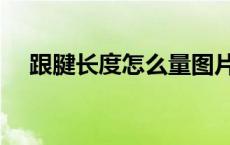 跟腱长度怎么量图片（跟腱长度怎么量）