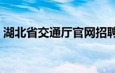 湖北省交通厅官网招聘（湖北省交通厅官网）