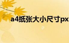 a4纸张大小尺寸px（a4纸张大小尺寸）