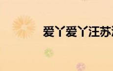 爱丫爱丫汪苏泷（爱丫爱丫）