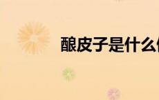 酿皮子是什么做的（酿皮子）