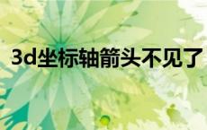 3d坐标轴箭头不见了（3d坐标轴箭头不见）