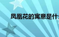 凤凰花的寓意是什么（凤凰花的寓意）