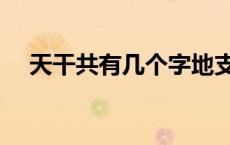 天干共有几个字地支（天干共有几个字）