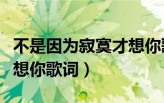 不是因为寂寞才想你歌词儿（不是因为寂寞才想你歌词）