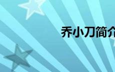 乔小刀简介（乔小刀）