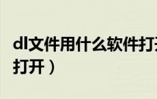 dl文件用什么软件打开快（dl文件用什么软件打开）