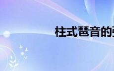 柱式琶音的弹法（柱式）