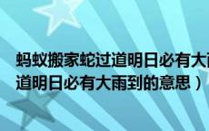 蚂蚁搬家蛇过道明日必有大雨到是什么意思（蚂蚁搬家蛇过道明日必有大雨到的意思）