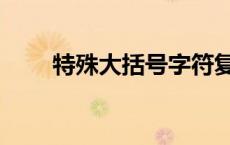 特殊大括号字符复制（大括号复制）