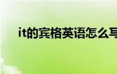 it的宾格英语怎么写（it的宾格是什么）