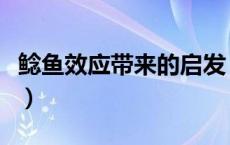 鲶鱼效应带来的启发（鲶鱼效应的启示是什么）