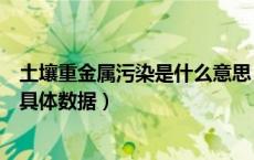 土壤重金属污染是什么意思（土壤重金属污染等级国家标准具体数据）