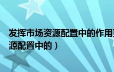 发挥市场资源配置中的作用更好发挥政府作用（发挥市场资源配置中的）