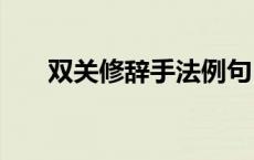 双关修辞手法例句100个（双关修辞）