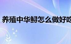 养殖中华鲟怎么做好吃（中华鲟怎么做好吃）
