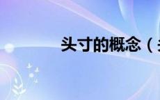 头寸的概念（头寸什么意思）