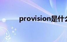 provision是什么（provisions）