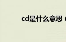 cd是什么意思（ts是什么意思）
