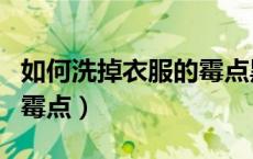 如何洗掉衣服的霉点黑点（如何洗掉衣服上的霉点）